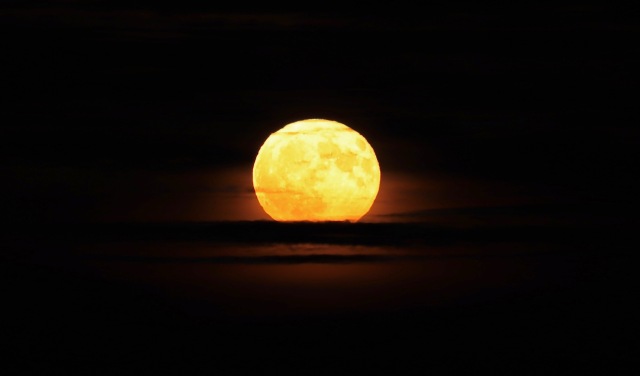 Full Moon photo for sale